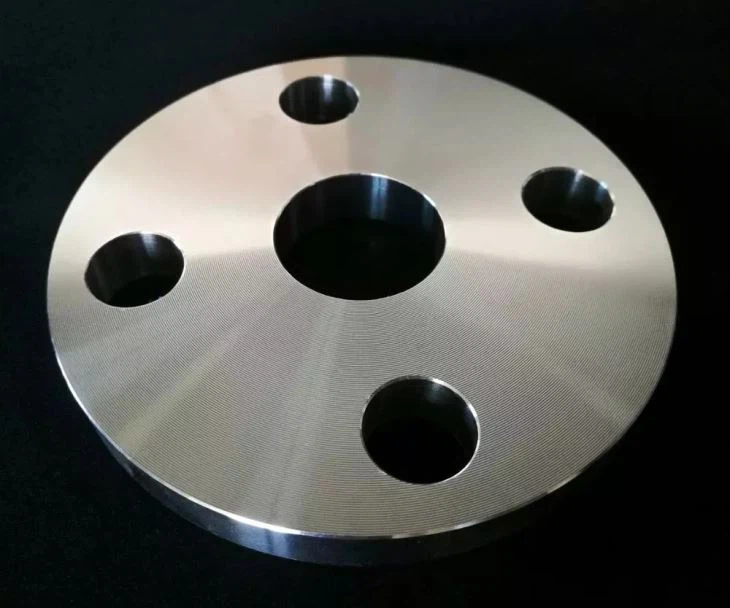 Stainless Steel Plate Flanges